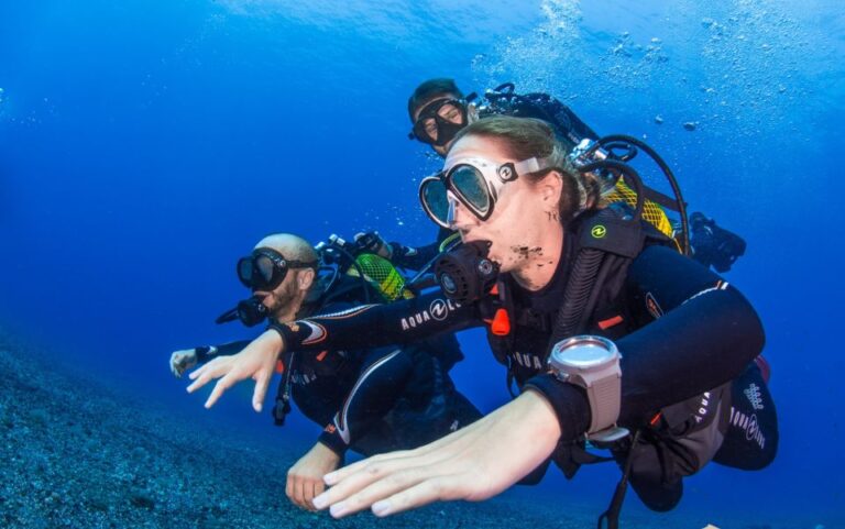 Santa Cruz De Tenerife: Advanced Introductory Course