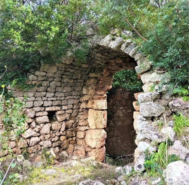 Sassari: Hiking With Donkeys in Cargeghe and Aperitif
