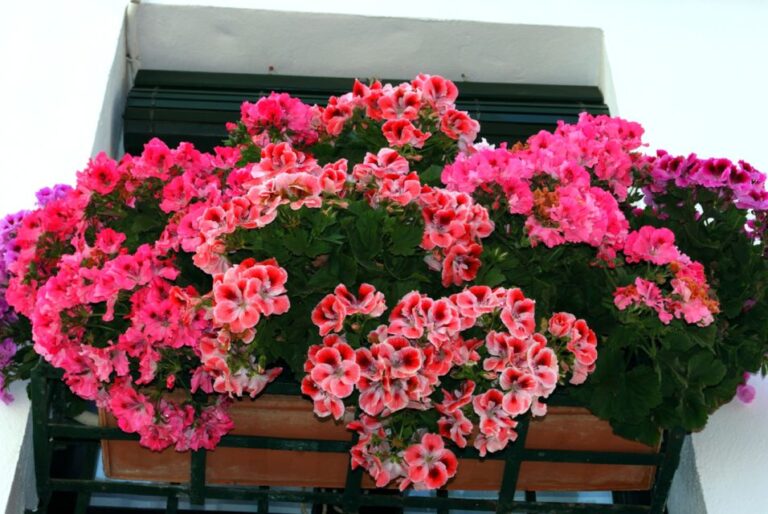 Seville: Barrio De Santa Cruz Small Group Walking Tour