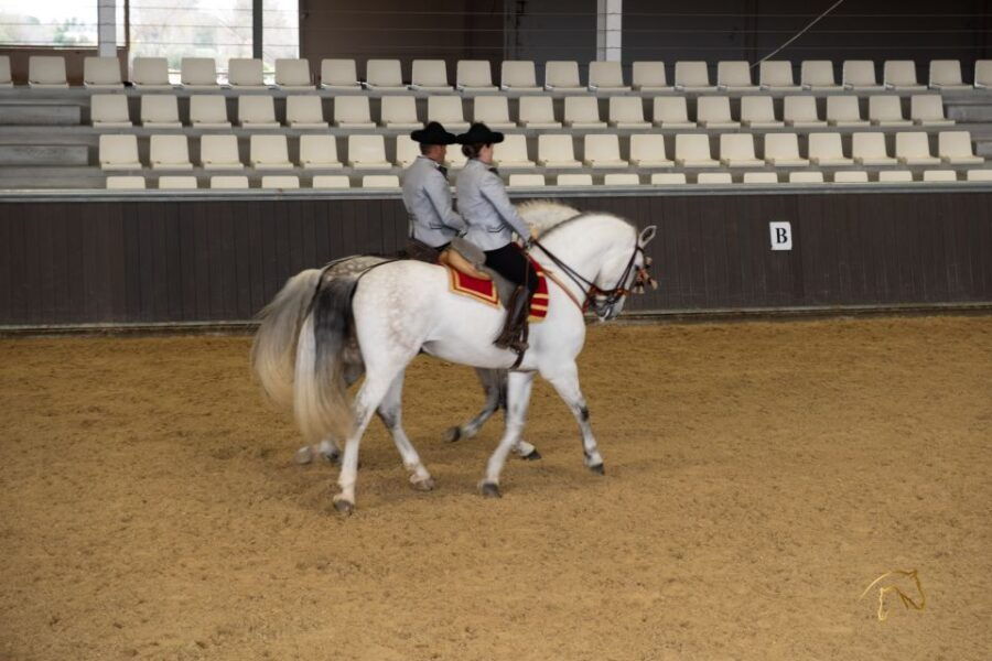 Seville: Horses Show Entry Ticket. Optional Stud Farm Visit - Ticket Details