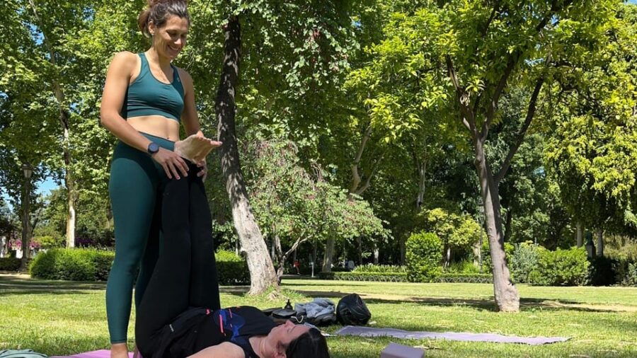 Seville: Private Yoga Classes All Levels - Class Overview and Pricing