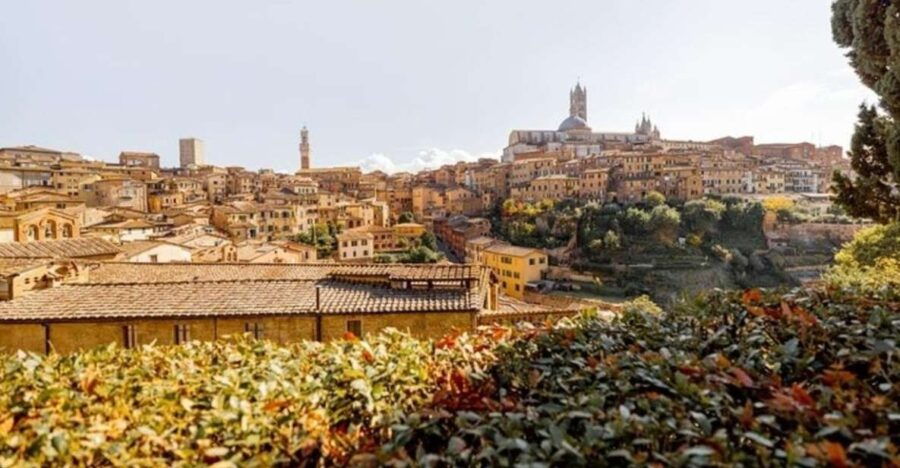 Siena : Highlights Private Walking Tour - Discover the Charm of Siena