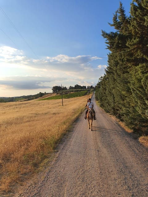 Siena: Horseback Riding Tour in the Tuscany Countryside - Overview of the Tour Experience