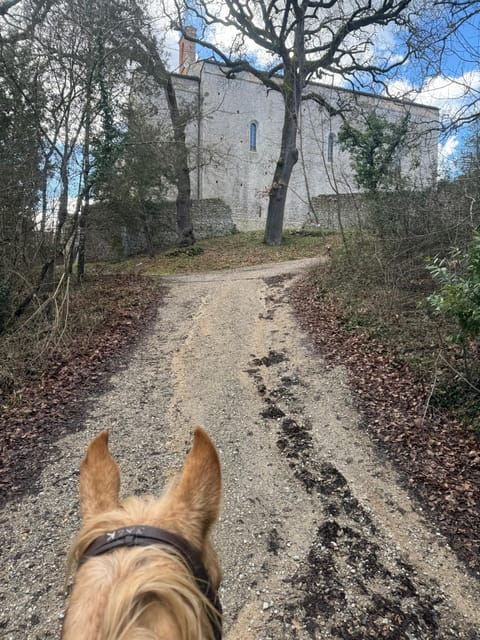 SIENA: HORSEBACK RIDING TOUR ON THE VIA FRANCIGENA - Scenic Features of the Via Francigena