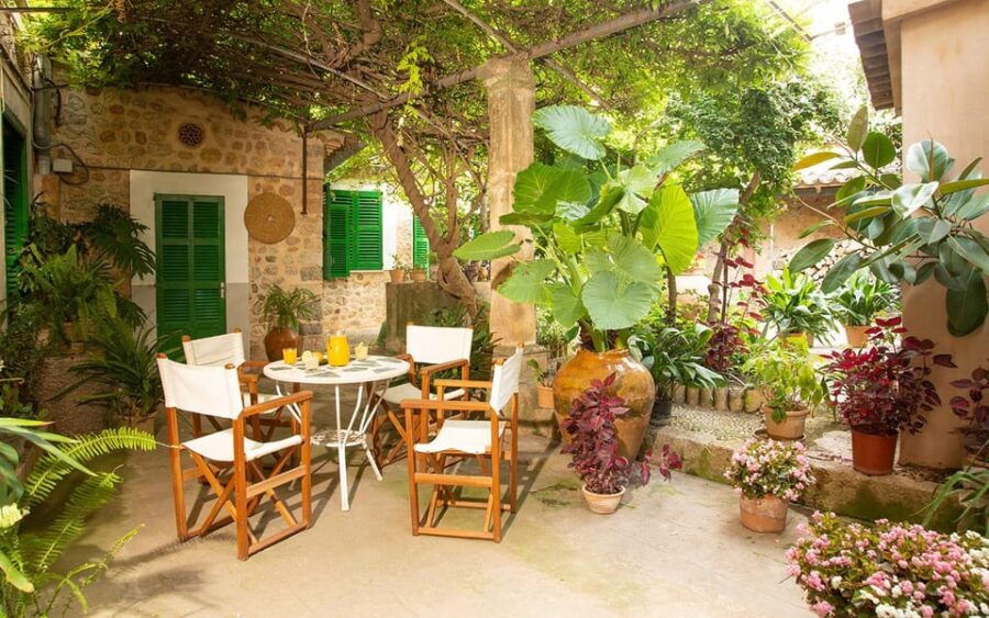 Sóller: Olive Oil Guided Tour and Tasting at Can Det Estate - Activity Overview
