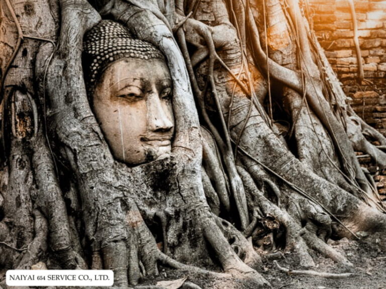 Temple Visits in Ayutthaya and a Walk Through History.