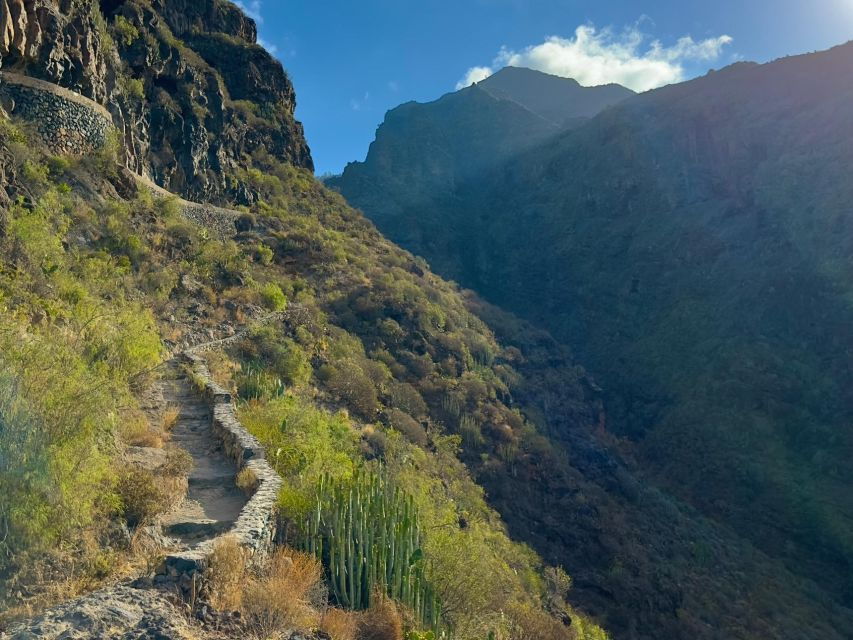 Tenerife: Barranco Del Infierno Guided Hiking Tour - Overview of the Barranco Del Infierno Hiking Tour