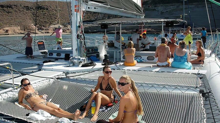 Tenerife: Catamaran Cruise With an Open Bar - Activity Overview