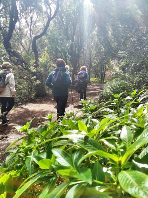Tenerife: Guided Tour Guide in the Anaga Rural Park