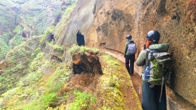 Tenerife: Hiking Tour in Anaga Mountains & Enchanted Forest
