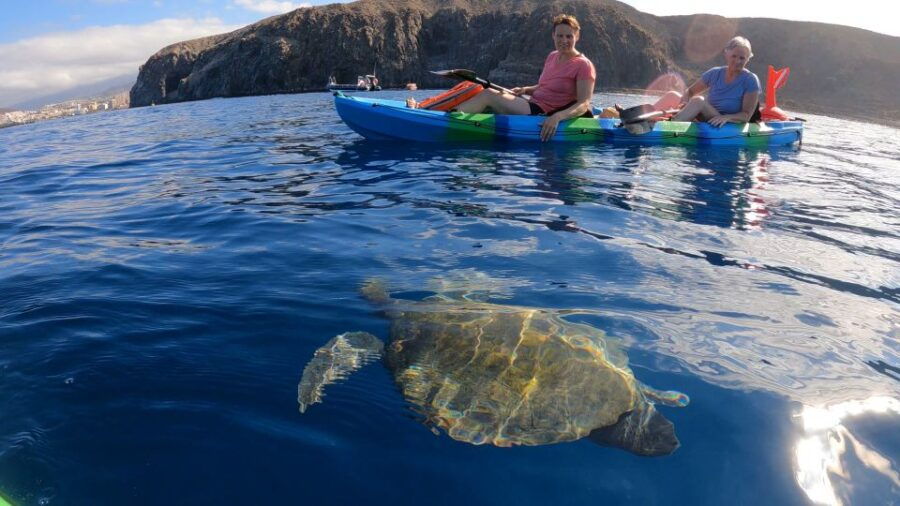 Tenerife: Kayak and Snorkeling Tour With Photos - Tour Overview