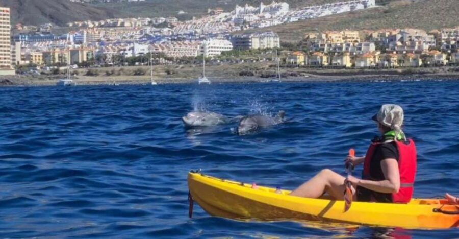 Tenerife: Kayak Safari and Sea Turtle Snorkeling With Photos - Overview of the Experience