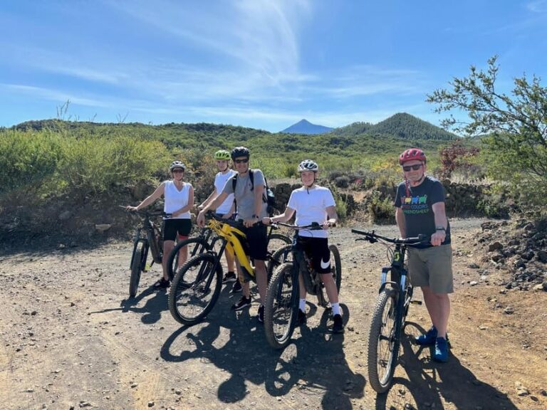 Tenerife: Premium E-Bike Ride at Chineyro Volcanic Area