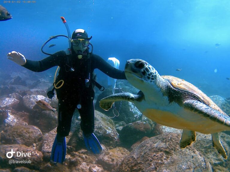Tenerife: Puerto Colon Discover Scuba Diving Trip