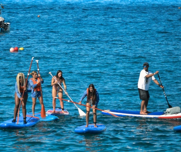 TENERIFE SOUTH: Paddleboarding Tour and SNORKEL - Tour Overview