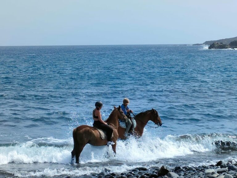 Tenerife South: Private Horseback Riding to the Coast