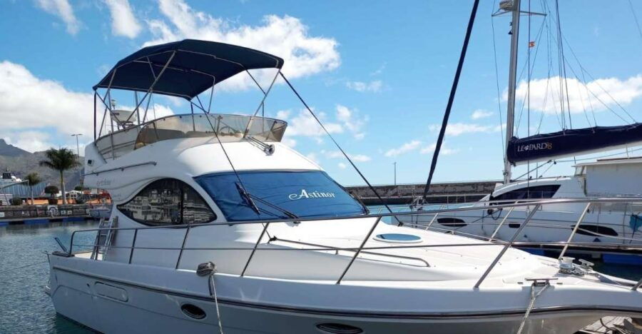 Tenerife South: Safari With Luxury Boat, Animal Encounters - About the Luxury Boat Trip