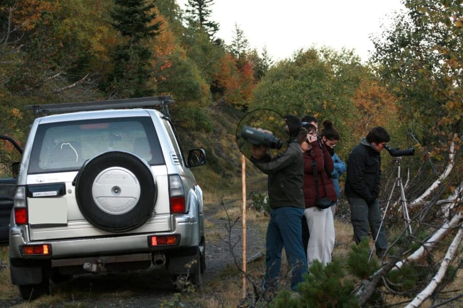 Tour of Aran 4×4 - Fauna, Flora and Alpine Nature - Itinerary and Activities