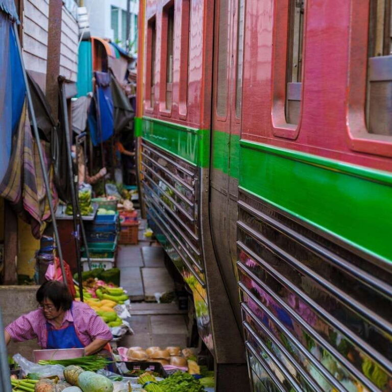 Train Market, Floating Market, and Salt Lake Tour by Driver