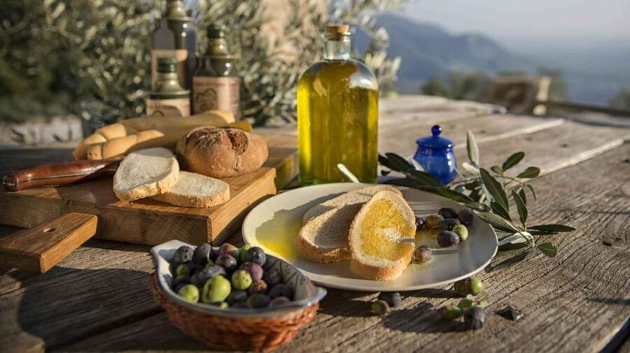 Trasimeno: Light Lunch, Oil, And Wine Experience - Experience Overview