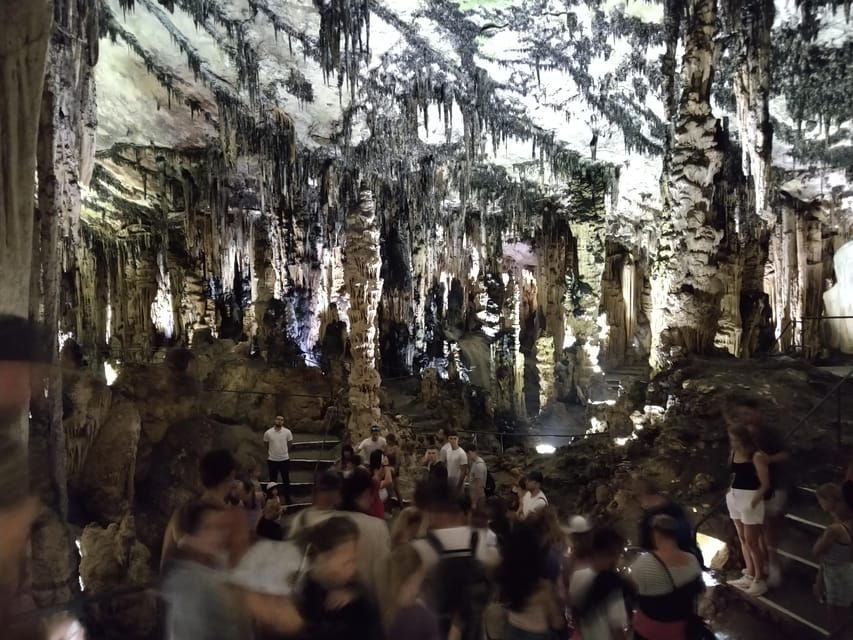 Travel and Play Tennis in Mallorca - Overview and Pricing