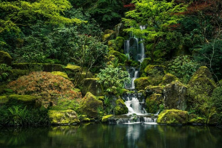 Valencia Natural Wonders: Exploring the Top 4 Waterfalls