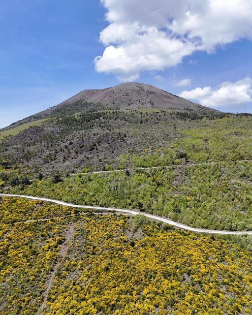 Vesuvio Bike Tour: Summit Ride and Entrance Ticket
