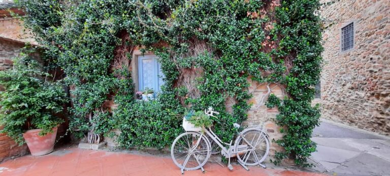 Vinci:Discovering Leonardos Origins & Aperitif in Vineyards