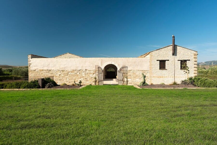 Vineyard Walk and Tasting - Experience Overview