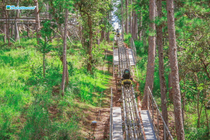 Da Lat: Datanla New Alpine Coaster Experience Entry Ticket - Ticket Details and Pricing
