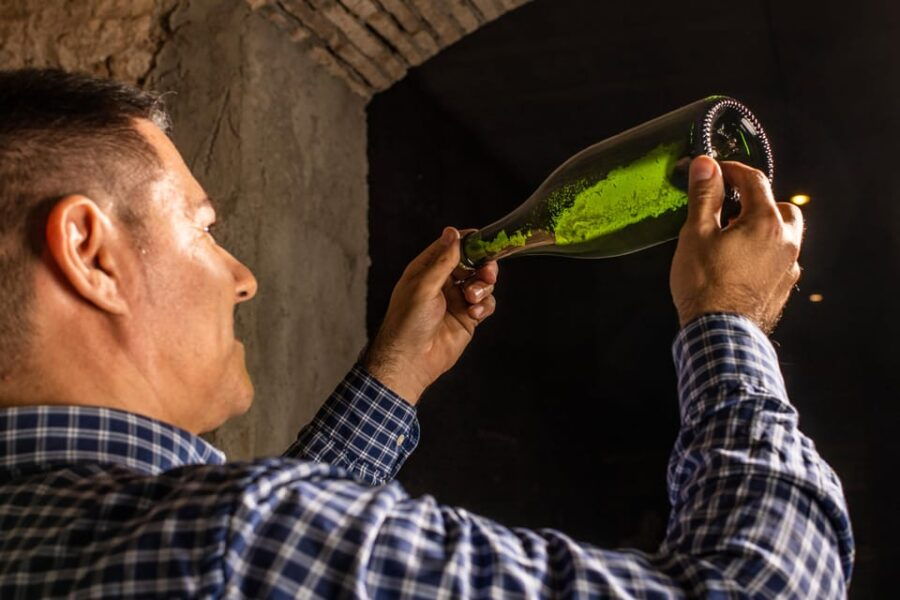 Catalonia: Unique, Bespoke Wine Cellar Visits - Tour Overview and Pricing