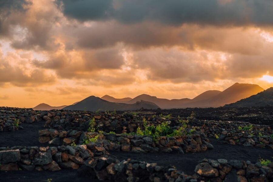 Lanzarote: Sunset Vineyard Tour With Wine and Chocolate Tasting - Tour Overview and Details