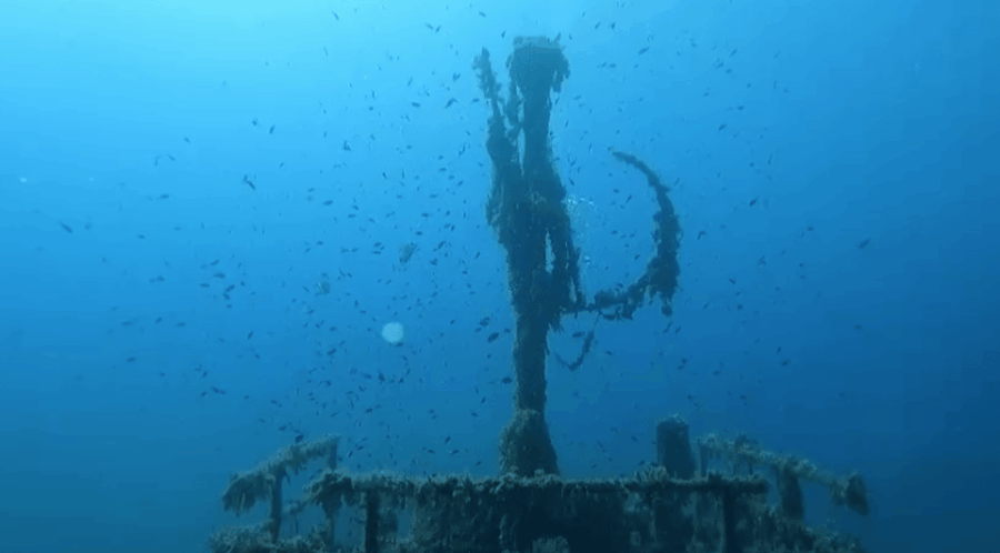 Palma De Mallorca: PADI Open Water Diver Course - Course Overview