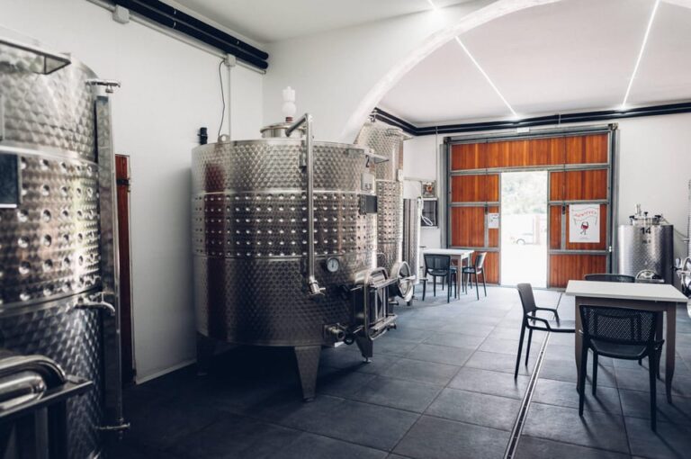 San Miniato: Wine Tour in a Family-Run Tuscan Winery