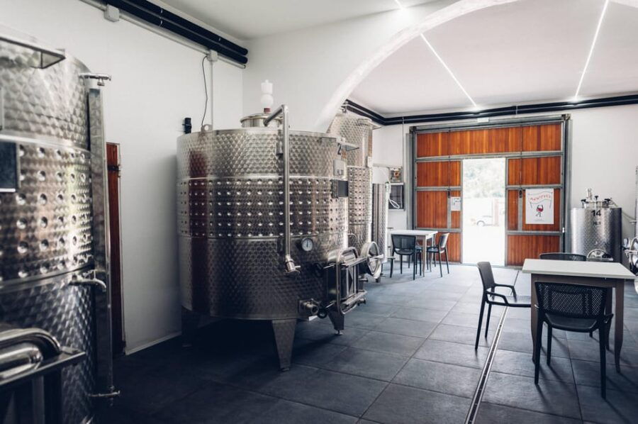 San Miniato: Wine Tour in a Family-Run Tuscan Winery - Overview of the Wine Tour Experience