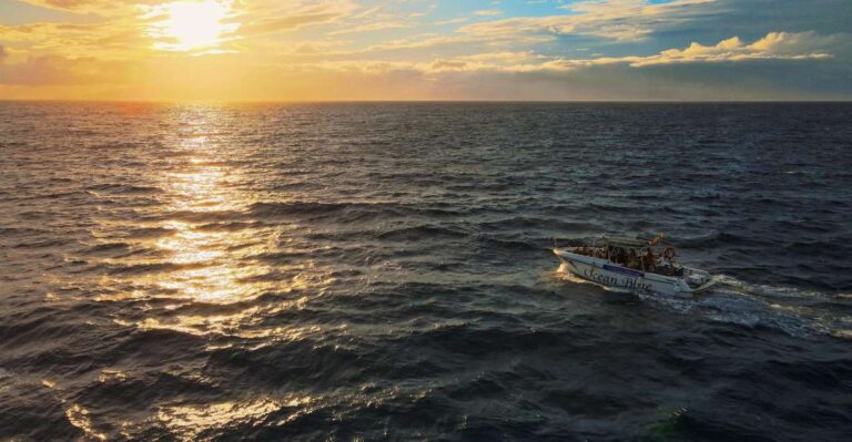 Costa Adeje: Whale and Dolphin-Watching Boat Excursion
