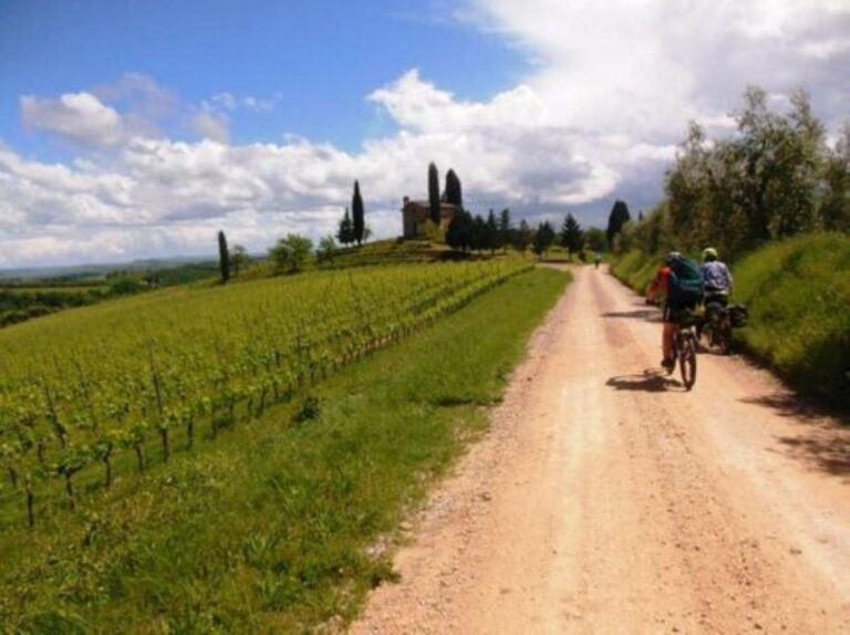 Siena Experience Review: Unforgettable Adventures Await