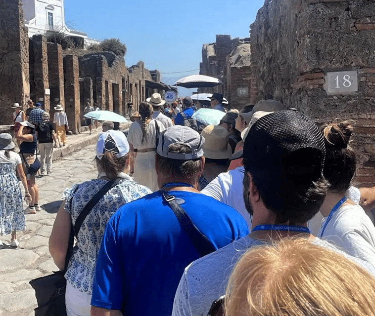 Pompeii Ruins Tour: Driver, Guide and Ticket Included - Tour Overview