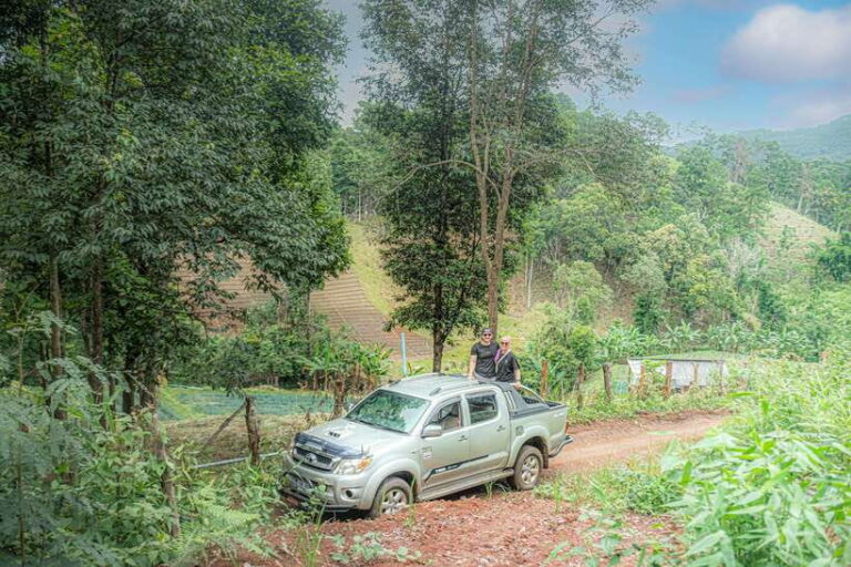 Chiangmai Hilltribe Coffee Forest : Trek Plant Roast & Brew