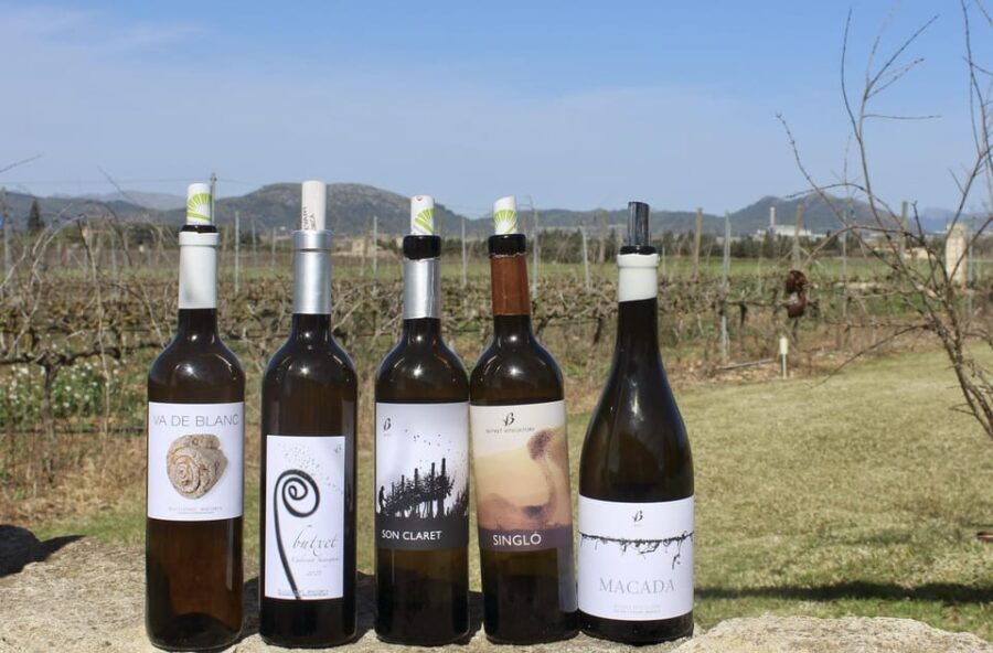 Alcúdia/Can Picafort: Guided Vineyard Visit and Wine Tasting - Tour Overview