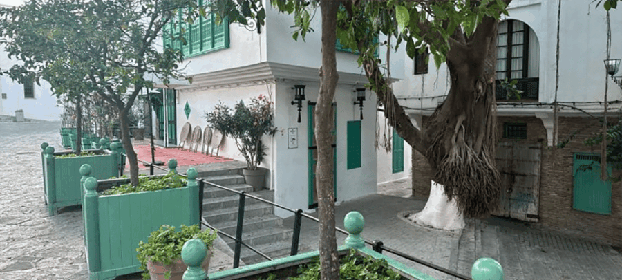 All-Inclusive Day Trip From Cádiz to Tangier, Morocco - Overview of the Day Trip