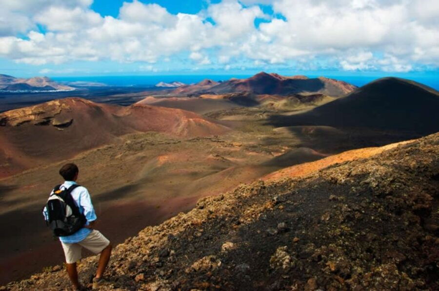 Arrecife/Playa Blanca: Timanfaya National Park Area Day Tour - Tour Overview