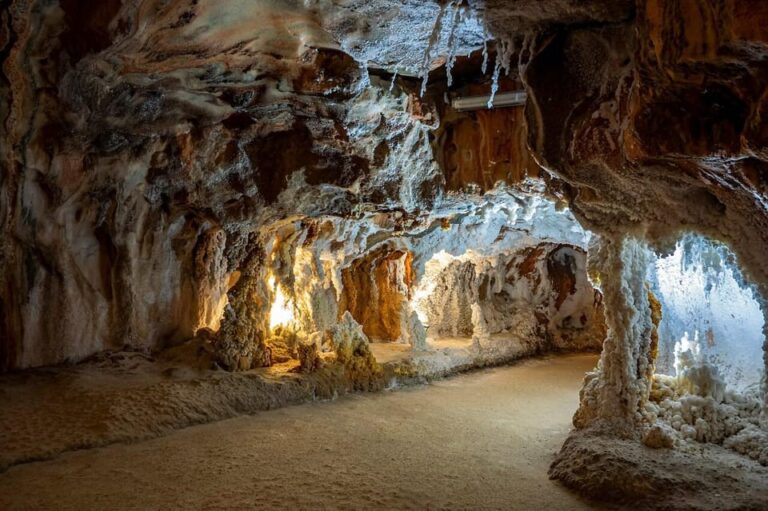 Barcelona: Monserrat, Castle and Salt Private Tour