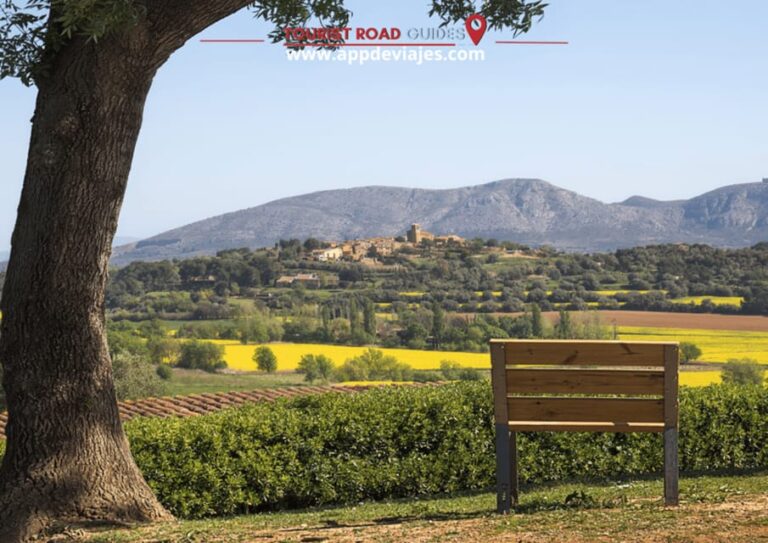 Barcelona: Tour Private Besalu, Dalí & Wine Tasting