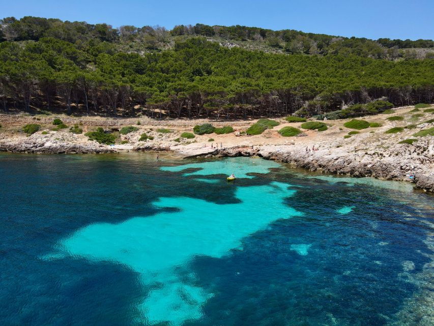 Boat Tour of Favignana and Levanzo From Trapani - Overview of the Boat Tour