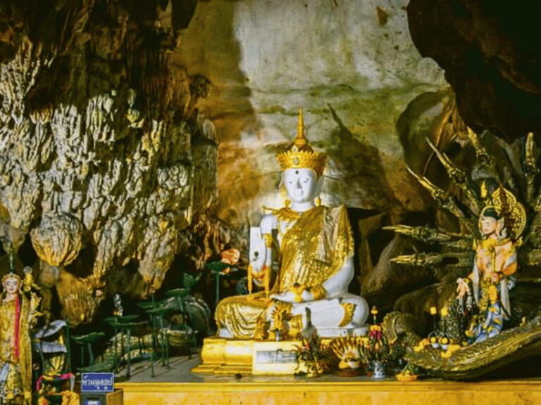 Chiang Mai : 1-Day Trip: Mae Tang & Chiang Dao Cave