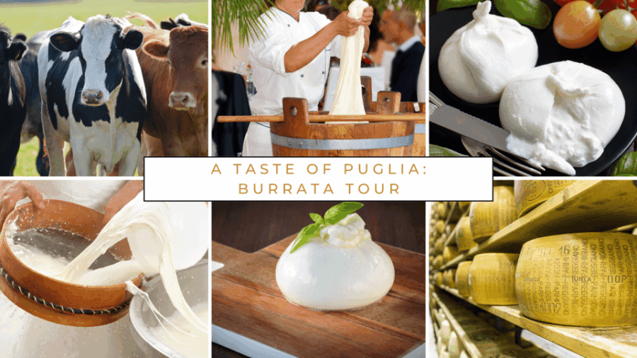 Dairy Farm Tour in the Apulian Countryside! - Experience a Family-Run Farm