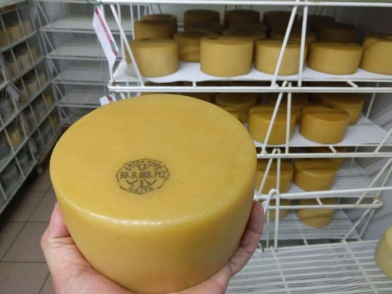 Discover the Art of Idiazabal Cheese in the Basque Country