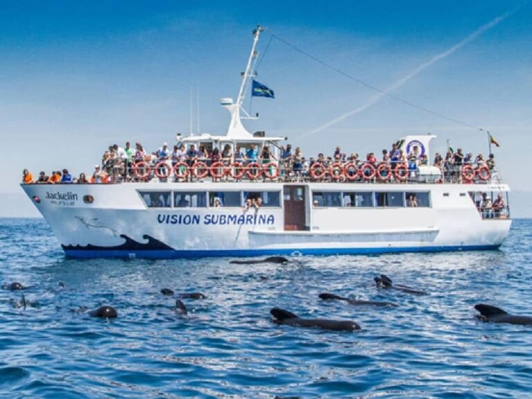 From Malaga: Guided Tour in Tarifa With Whale-Watching and Dolphin Watching