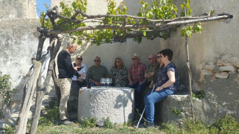 From Sitges: Wine Tasting at 2 Wineries, Snacks and Pickup